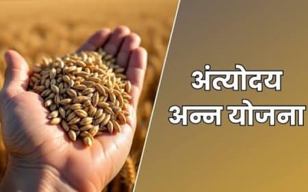 राशन व्यवस्था में बड़ा बदलाव: अब 'प्रति व्यक्ति' मिलेगा अनाज, केंद्र सरकार ने जारी किया नया मसौदा राशन व्यवस्था में बड़ा बदलाव: अब 'प्रति व्यक्ति' मिलेगा अनाज, केंद्र सरकार ने जारी किया नया मसौदा