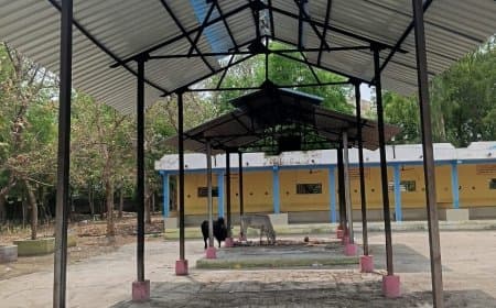 मुक्तिधाम में कम्प्लीट हुआ टीन शैड, नपा अध्यक्ष का माना आभार