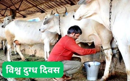 श्वेत क्रांति का संकल्प, मध्यप्रदेश में चुनौतियां हैं बहुत