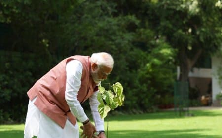शक्ति का शौर्य...पीएम मोदी ने लगाया सिंदूर का पौधा
