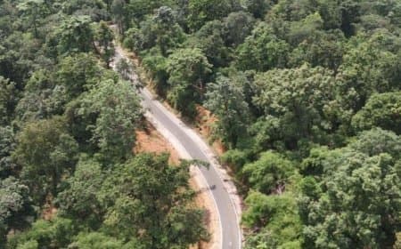 शीर्ष वन क्षेत्र वाले तीन राज्यों में मध्यप्रदेश पहले पायदान पर 