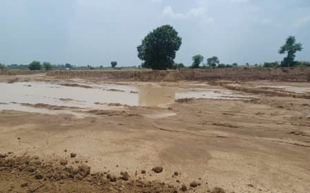 पीली मिट्टी उठाव क्षेत्र में नियमों का खुला उल्लंघन