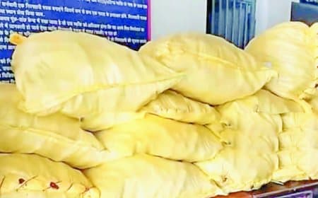 13 बोरी कोरेक्स के साथ पकड़ा गया तस्कर