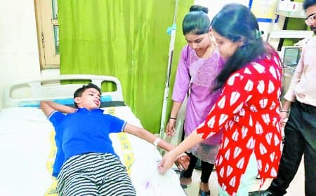 सतना अस्पताल में रोजाना आ रहे 10 से 15 स्नैक बाइट के केस