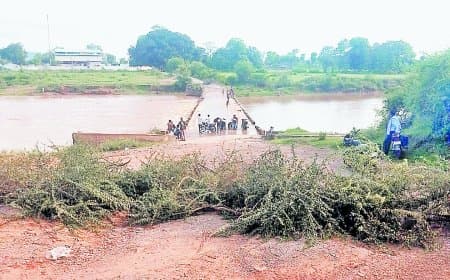 कंटीली झाडिय़ों से जिगनहट रपटे का आवागमन रोकने का प्रयास, विवादों में आया पीडब्ल्यूडी