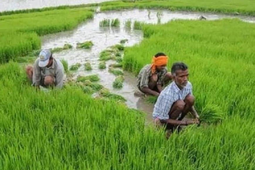 मध्यप्रदेश के 83 लाख अन्नदाताओं को मिली पहचान