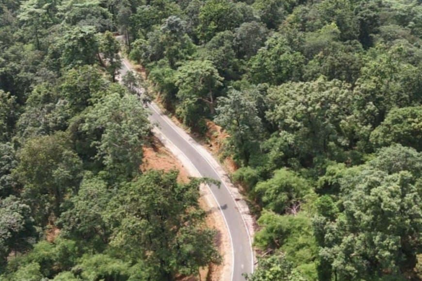 शीर्ष वन क्षेत्र वाले तीन राज्यों में मध्यप्रदेश पहले पायदान पर 