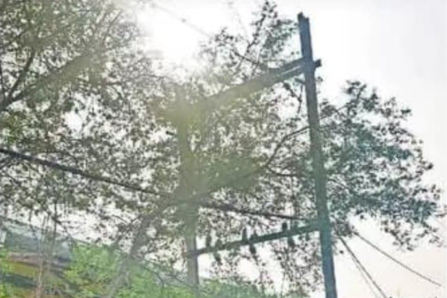 मेंटेनेंस बेअसर, बारिश में पेड़ों से टकरा रहे बिजली के तार