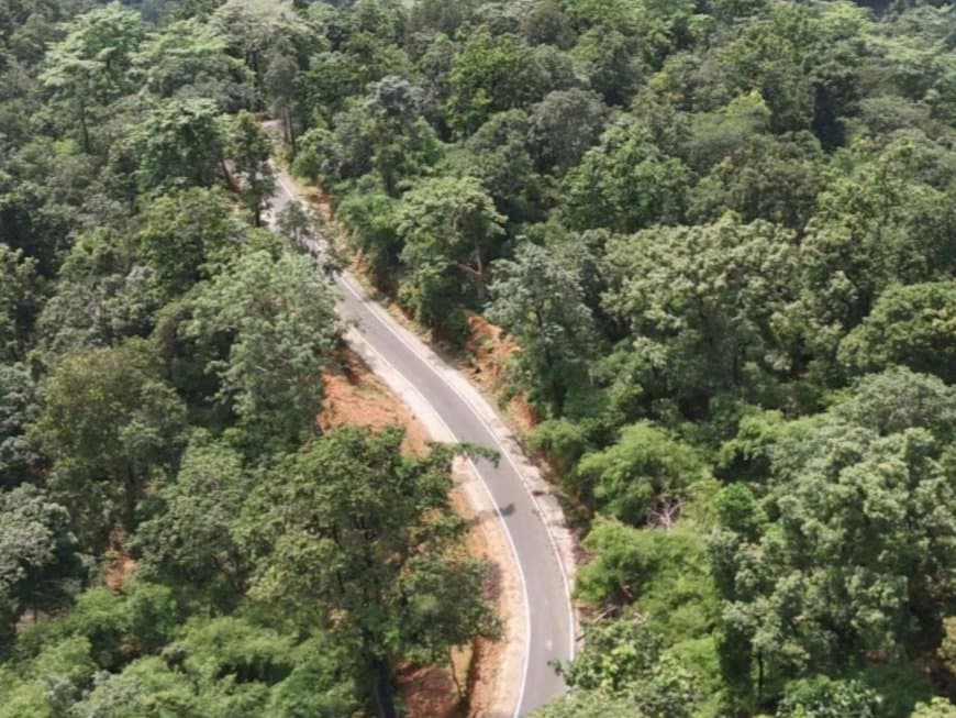 शीर्ष वन क्षेत्र वाले तीन राज्यों में मध्यप्रदेश पहले पायदान पर 