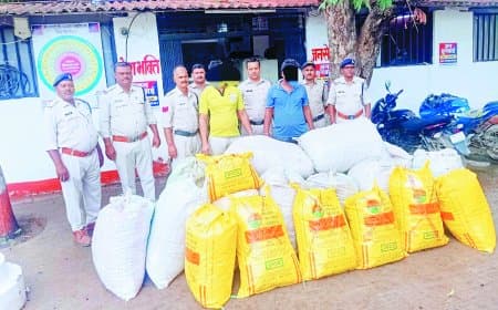 ट्रक के गुप्त केबिन से 31 लाख का गांजा बरामद, दो गिरफ्तार