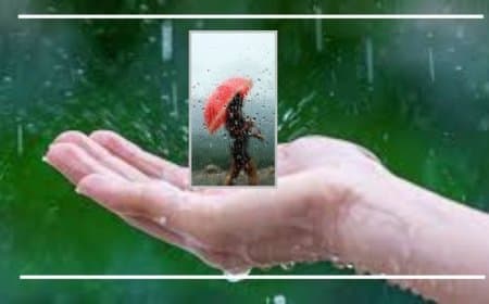 बारिश में सेहतमंद कैसे रहें? जानें खान-पान, रहन-सहन और सावधानियां