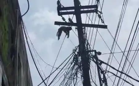 नर्मदापुरम में  करंट लगने से बंद की मौत, लोगों ने फूल-माला पहनाकर दी श्रद्धांजलि