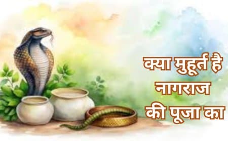 जाने क्या मुहूर्त है नागराज की पूजा... पंचमी का महत्व.. नाग को दूध नहीं पिलाएं