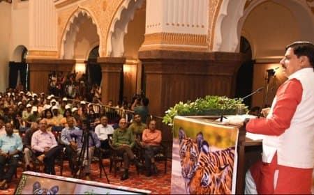 अंतर्राष्ट्रीय बाघ दिवस 2025: MP में वन्यजीव संरक्षण को मिला नया बूस्ट!
