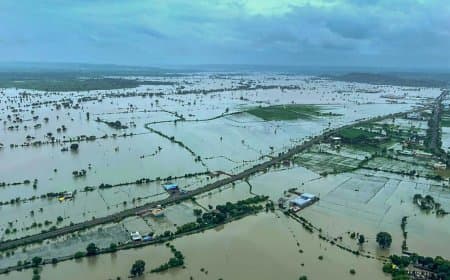 मध्यप्रदेश... बाढ़... बारिश... मौत... नदियों ने दिखाया रौद्र रूप
