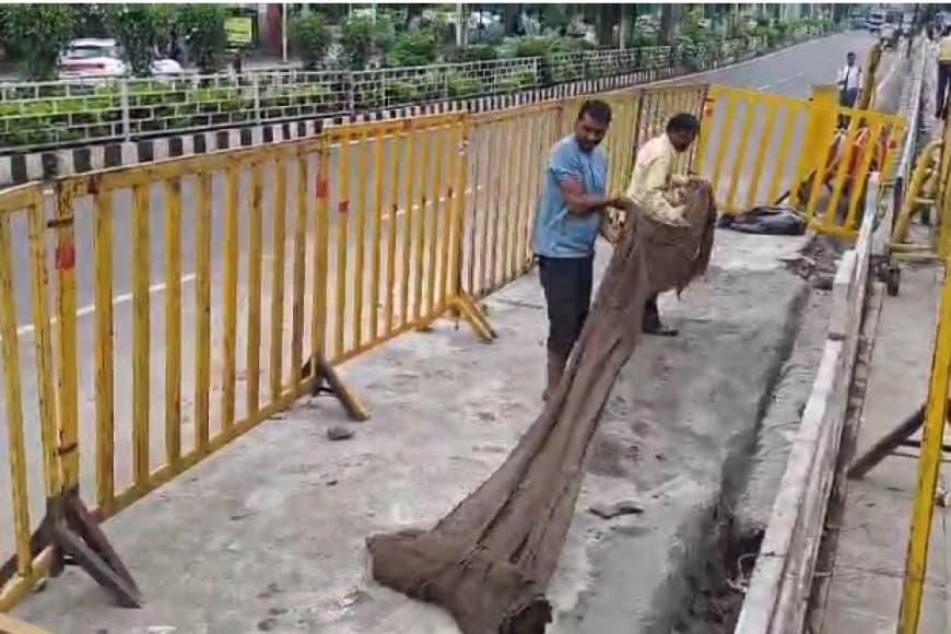 भोपाल सड़क धंसी: PWD ने निगम पर फोड़ा ठीकरा, शौचालय को बताया जिम्मेदार