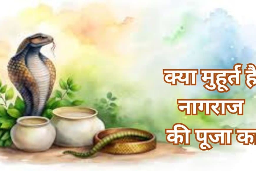 जाने क्या मुहूर्त है नागराज की पूजा... पंचमी का महत्व.. नाग को दूध नहीं पिलाएं