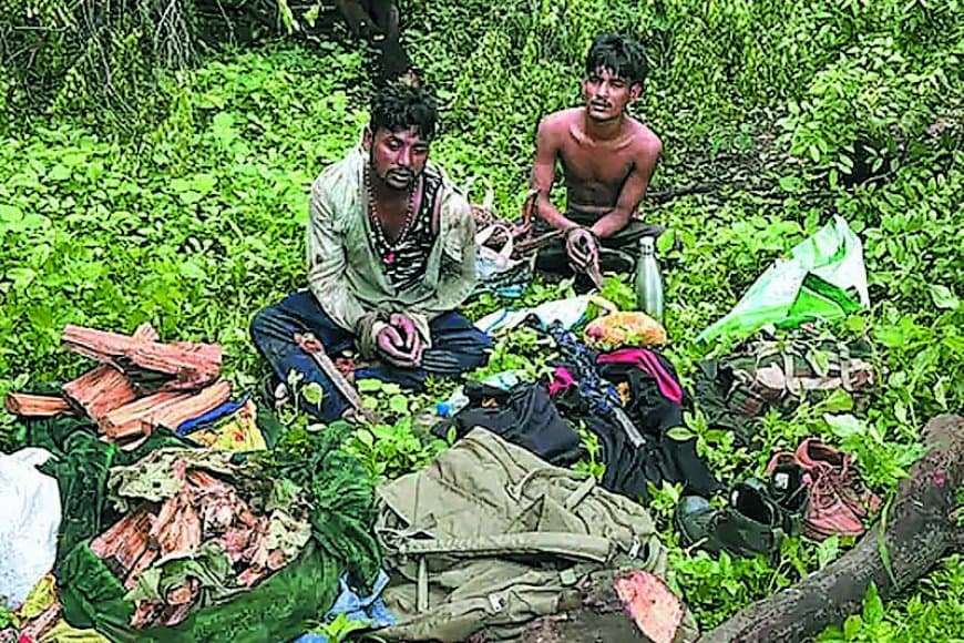 सागर में चोरों ने काटे चंदन के पेड़, जवानों ने दो चोर पकड़े
