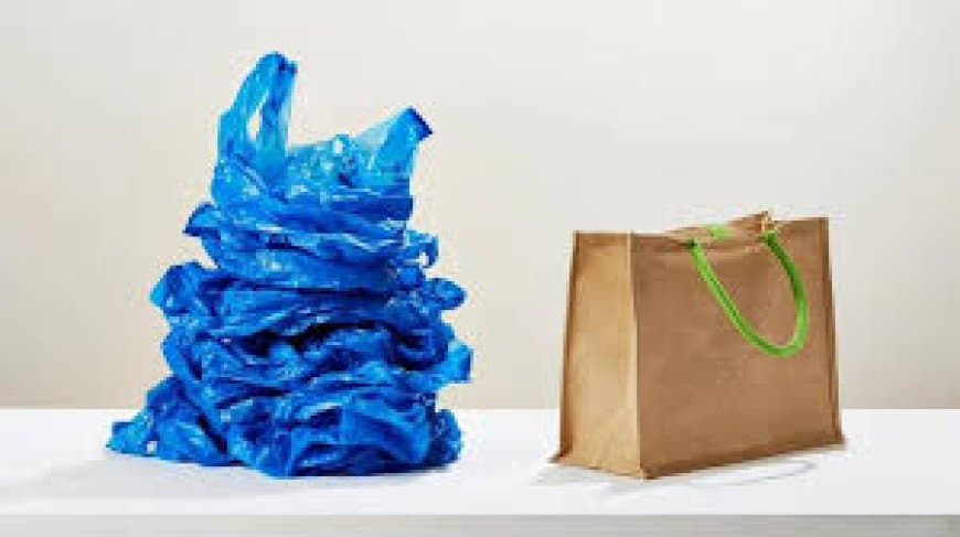 प्लास्टिक प्रदूषण: पर्यावरण पर कसता शिकंजा