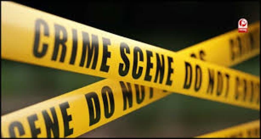 दिल्ली के लाजपत नगर में मां-बेटे का डबल मर्डर: जानें खौफनाक वारदात का पूरा सच