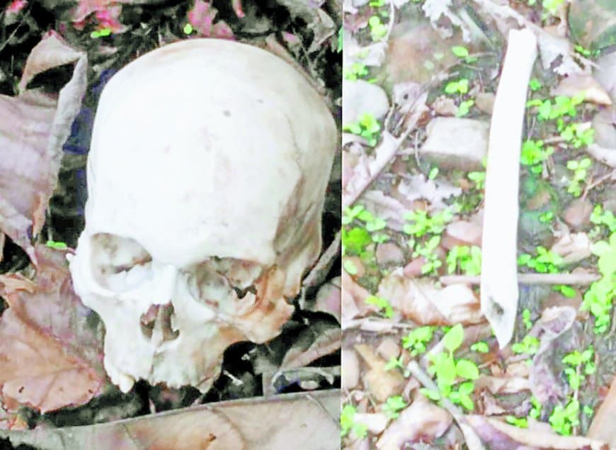 जंगल में महिला की खोपड़ी और कंकाल मिलने से सनसनी
