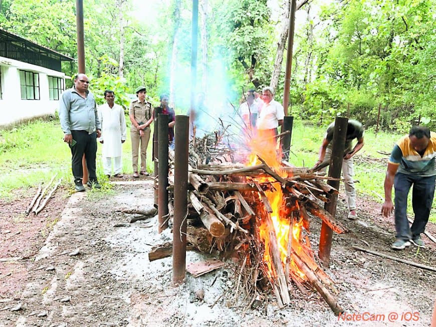 बाघ की मौत: नौ साल बाद भी नहीं लिया सबक