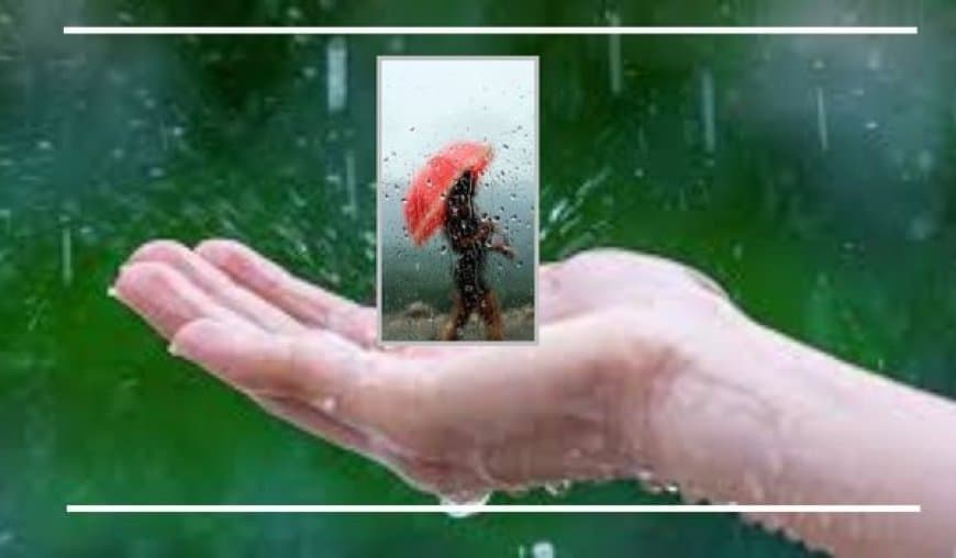 बारिश में सेहतमंद कैसे रहें? जानें खान-पान, रहन-सहन और सावधानियां