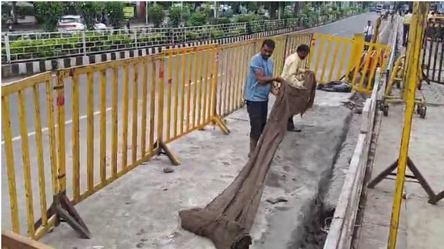 भोपाल सड़क धंसी: PWD ने निगम पर फोड़ा ठीकरा, शौचालय को बताया जिम्मेदार