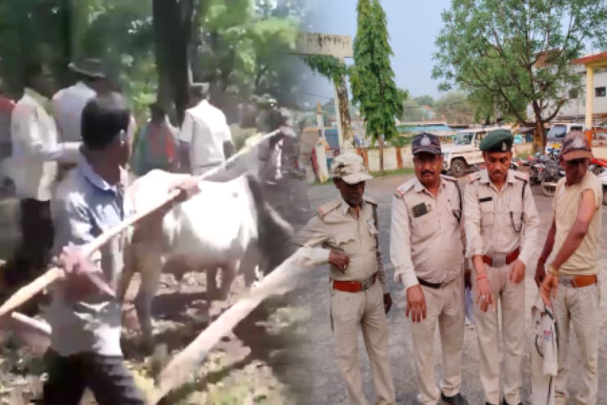 MP वन कर्मियों पर हमले बढ़े, कटनी में ग्रामीणों ने डिप्टी रेंजरों सहित 5 को पीटा