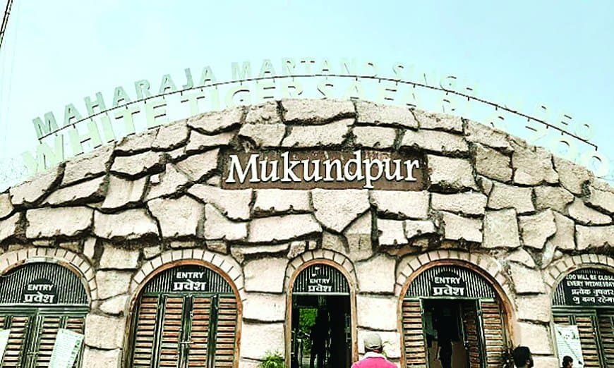 चिडिय़ाघर में खुलनी है तीन नई सफारी लेकिन जू अथॉरिटी ने लगा दी 7 आपत्तियां