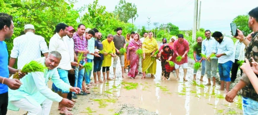 सड़क नहीं बनी, तो खेत बना दी! सतना के ग्रामीणों ने टूटी सड़क पर रोपी धान, राज्यमंत्री के क्षेत्र में अनोखा विरोध, कांग्रेस का साथ – उग्र आंदोलन की चेतावनी
