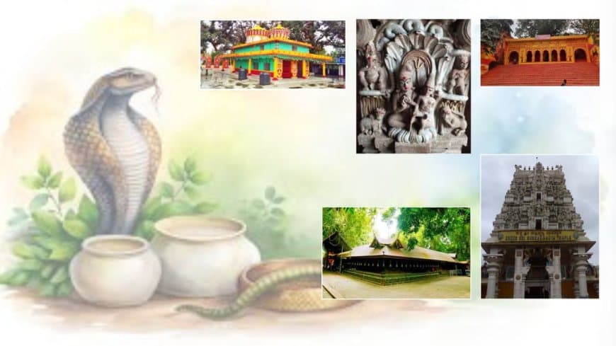 नाग पंचमी विशेष जानिए... भारत के प्रसिद्ध नाग देवता के प्राचीन  मंदिर