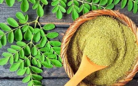 स्वास्थ्य के लिए बेहद फायदेमंद है मोरिंगा, इसके सेवन से कई गंभीर बीमारियां होंगी दूर