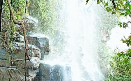 रीवा का टोंस वॉटरफॉल पांच साल से बंद, लाखों खर्च करने के बाद भी वन विभाग नहीं कर पाया दोबारा शुरू