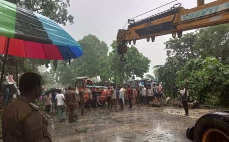 बाराबंकी...बस पर गिरा पेड़... पांच शिक्षक सहित छह की मौत