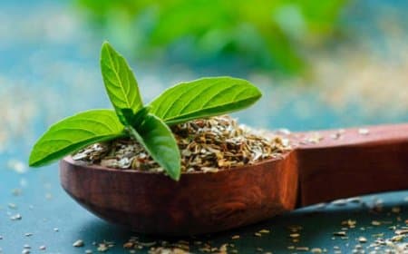 सुबह खाली पेट तुलसी के 4-5 पत्ते चबाने से मिलेंगे ढेरों फायदे, कई बीमारियां भी रहेंगी दूर