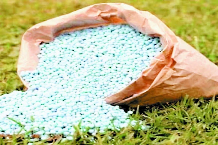मऊगंज में अन्नदाता बेहाल: डीएपी और यूरिया की भारी किल्लत से फसल पर संकट, प्रशासन की चुप्पी पर उठे सवाल
