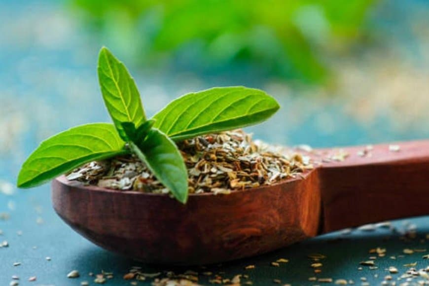 सुबह खाली पेट तुलसी के 4-5 पत्ते चबाने से मिलेंगे ढेरों फायदे, कई बीमारियां भी रहेंगी दूर
