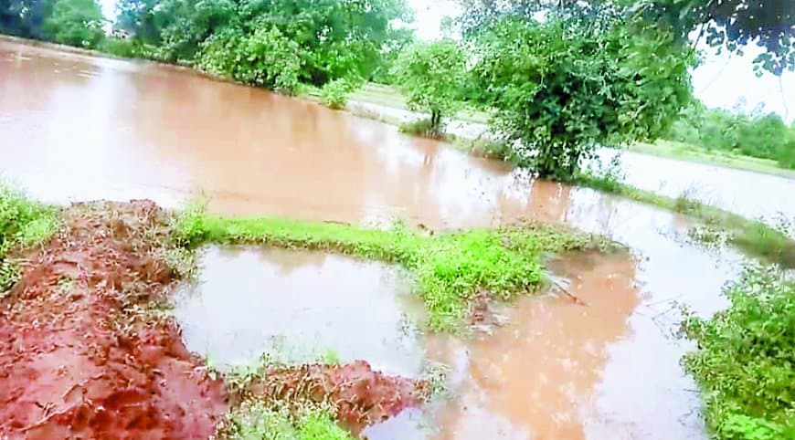 अधिकारियों के आदेश को ठेंगा: नाला बंद, फसल बर्बाद – किसान बेहाल