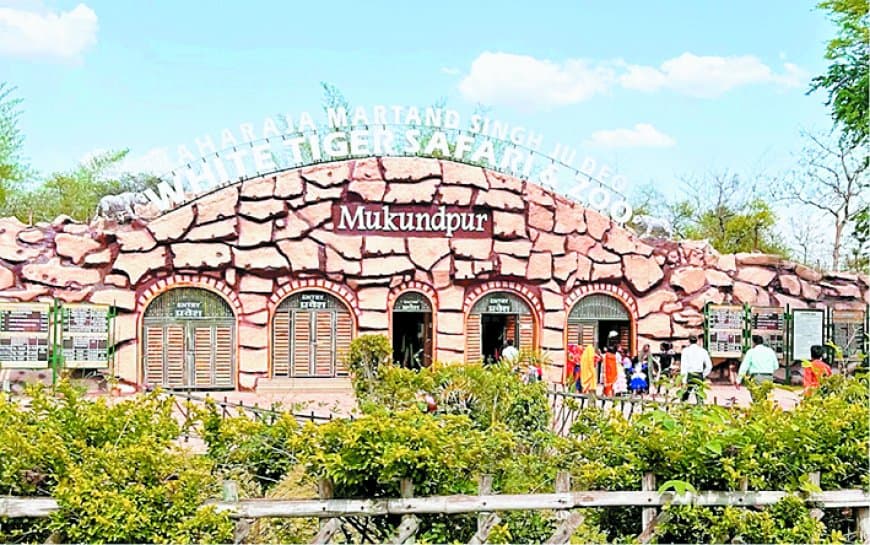 10 वर्षों में 3.5 लाख पर्यटकों का आंकड़ा नहीं पार कर सका मार्तण्ड सिंह जूदेव चिड़ियाघर — ट्रांसपोर्टेशन और ब्रांडिंग बनी सबसे बड़ी बाधा