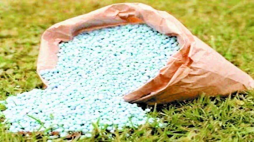 मऊगंज में अन्नदाता बेहाल: डीएपी और यूरिया की भारी किल्लत से फसल पर संकट, प्रशासन की चुप्पी पर उठे सवाल