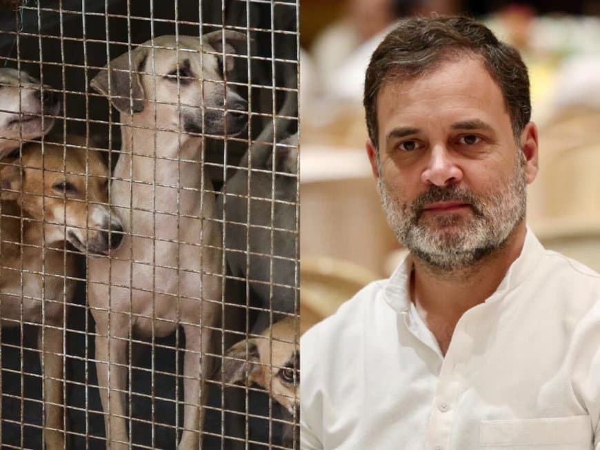 अदालत के आदेश पर राहुल गांधी ने असहमति जताई है।