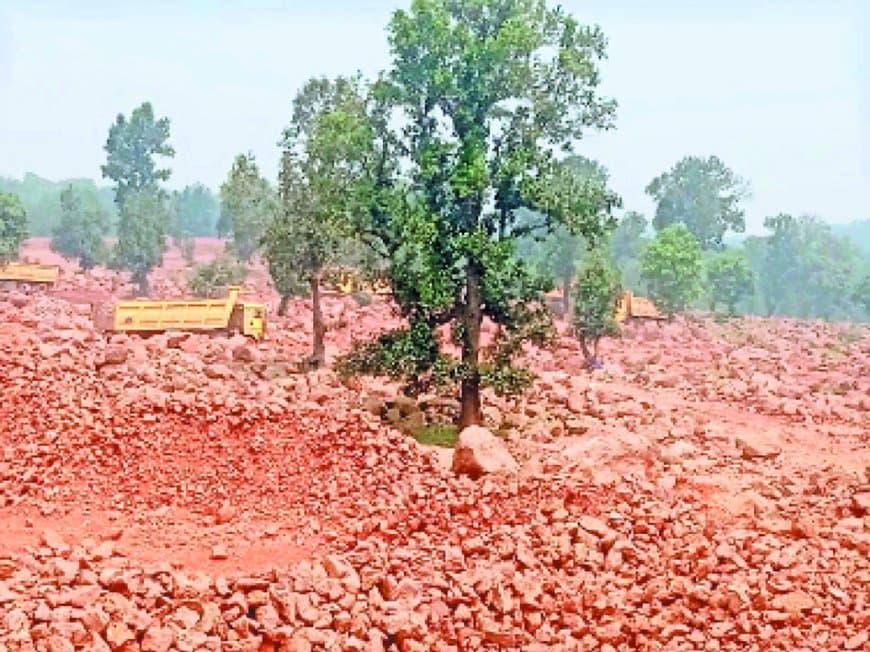 रीवा के टीकर जंगल में बाक्साइड खनन की तैयारी: दो कंपनियों ने वन भूमि पर डाला दावा, जैव विविधता और हजारों पेड़ खतरे में