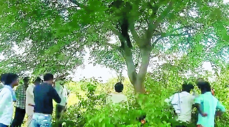 अमानगंज के जंगल में मिला अज्ञात नरकंकाल – लाल गमछे के फंदे से सनसनी, ग्रामीणों में दहशत और लापता युवक से जोड़कर कयास