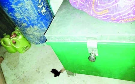 मैहर हत्याकांड का खुलासा: चोरी की नीयत से घर में घुसे रिश्तेदार ने गला घोंटकर महिला की हत्या की, हरे बक्से में मिली लाश से मचा हड़कंप