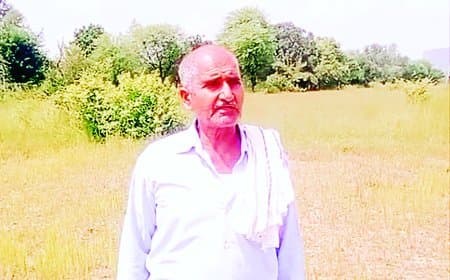 सीधी में सिंचाई संकट: नहर का पानी न मिलने से मुरझाने लगी धान की फसलें, किसानों में गहराई चिंता