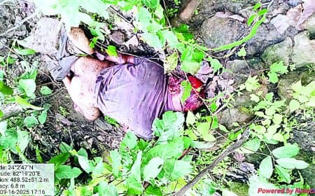 सिंगरौली में दहशत: दो भालुओं ने तीन युवकों पर बोला हमला, दो की मौके पर मौत, एक गंभीर रूप से घायल