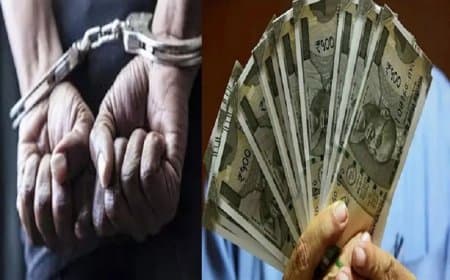 बालाघाट... घूस की रकम निकलवाने बैंक पहुंचा बीट गार्ड... ईओडब्ल्यू ने दबोचा