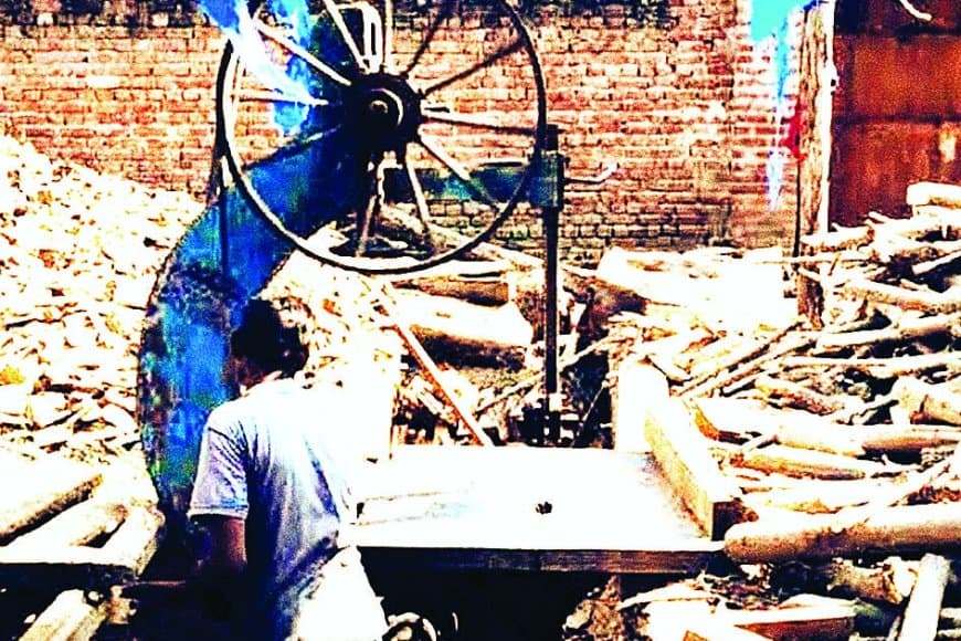 सीधी जिले में अवैध लकड़ी कारोबार पर वन विभाग की मेहरबानी: आरा मशीनों से लेकर फर्नीचर दुकानों तक बिना रोकटोक जारी काला धंधा