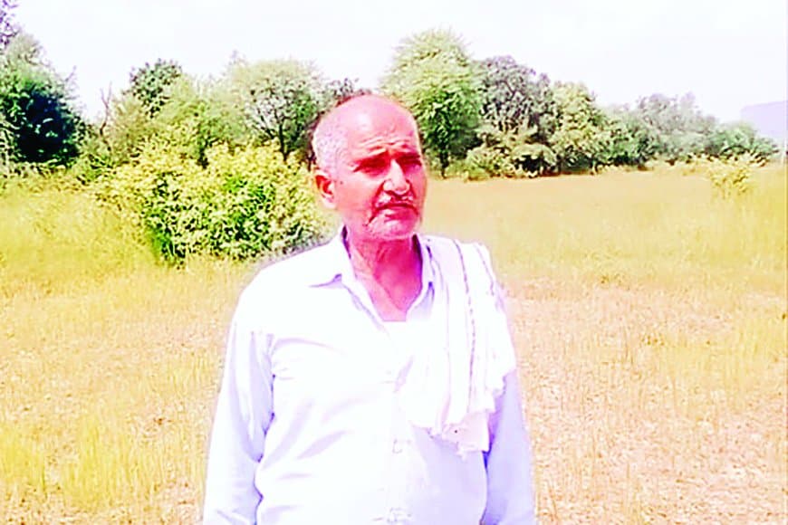 सीधी में सिंचाई संकट: नहर का पानी न मिलने से मुरझाने लगी धान की फसलें, किसानों में गहराई चिंता